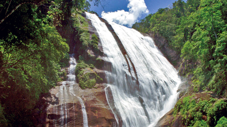 Cat Waterfall (Cachoeira do Gato)