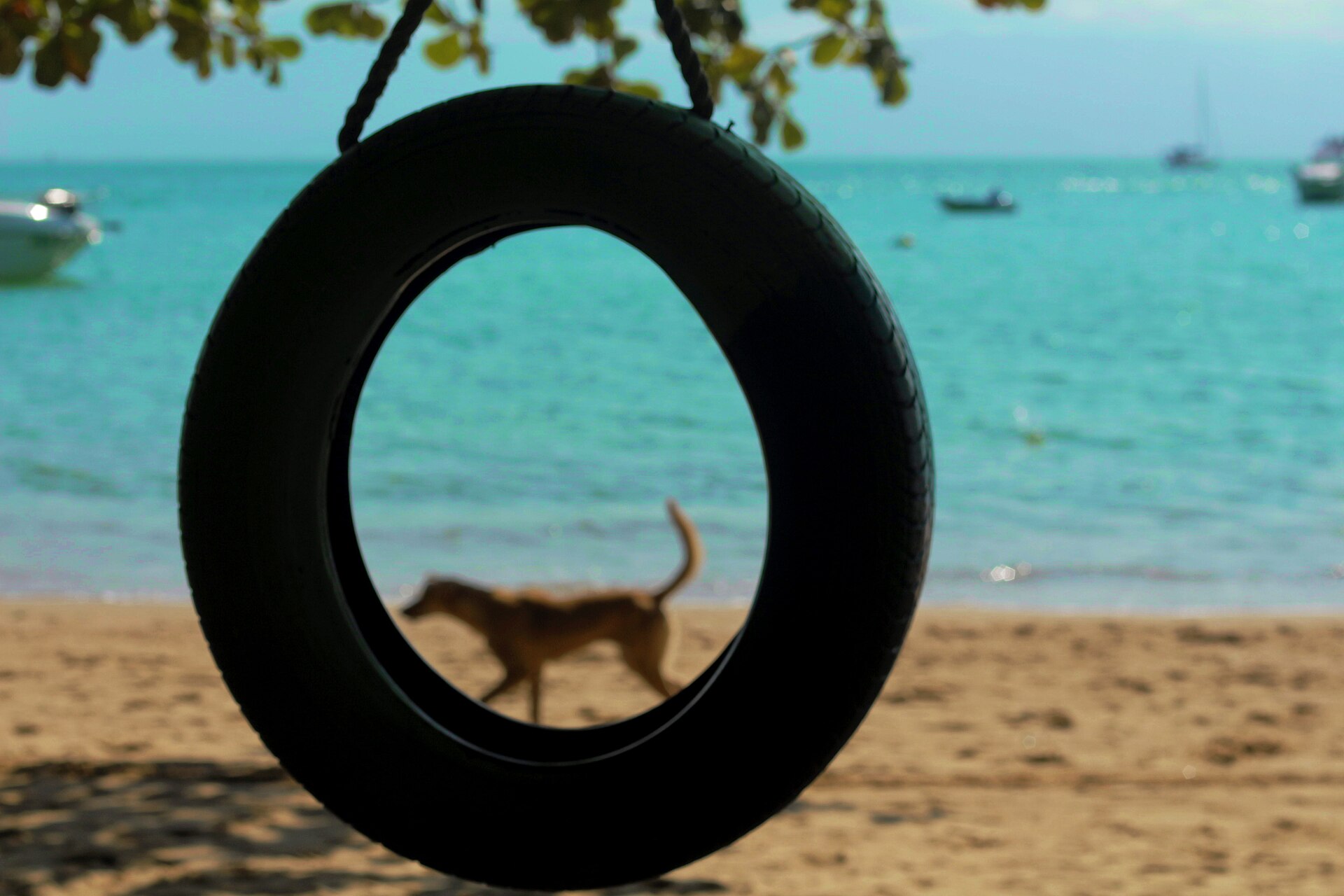 Armação Beach